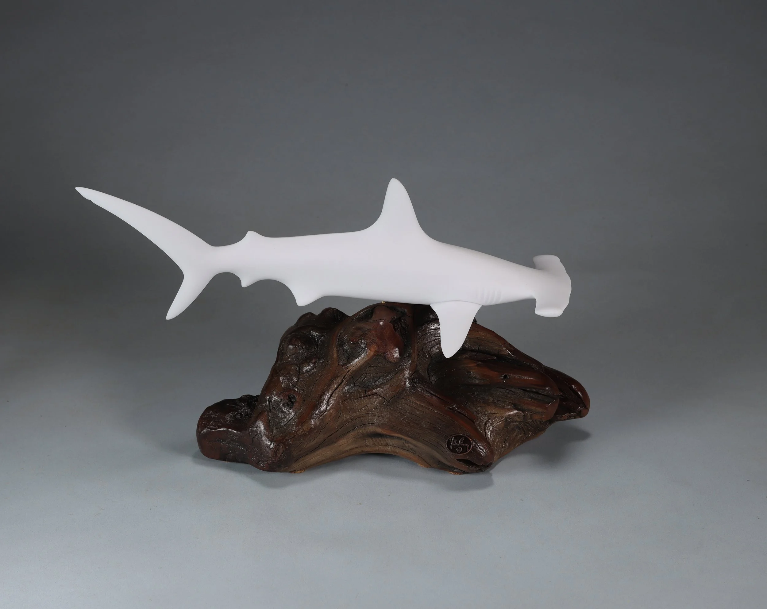 Hammerhead Sharks — All Items — JOHN PERRY STUDIO